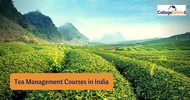 Tea Management Courses, Colleges and Career Scope