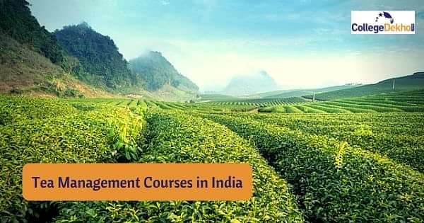 Tea Management Courses Colleges and Career Scope CollegeDekho Tea Management Courses Colleges and Career Scope CollegeDekho