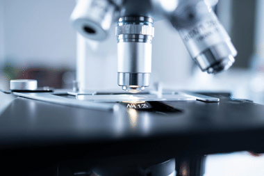 Total number of questions asked in CUET Biology Previous Years Exam (Image credit: Pexels)