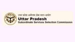 यूपीएसएसएससी पीईटी रिजल्ट 2025 (UPSSSC PET Result 2025 in Hindi)