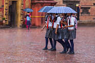 UP School Holiday 13 September 2024 Declared in THESE Districts Due to Rain: Districts, IMD predictions