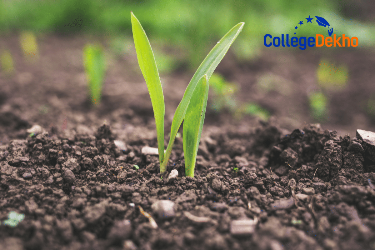 What is the salary range for fresh B.Sc Agriculture graduates in India