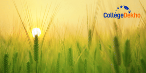 Difference Between State vs Central Agricultural Universities in India