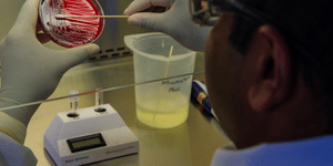 Expected NEET SS 2025 Cutoff Scores for ENT