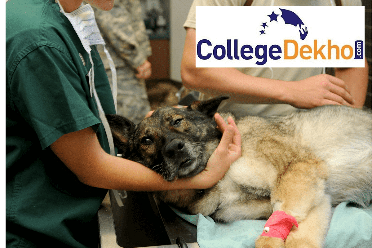 Top Veterinary Sciences Colleges in India Courses Offered