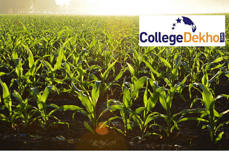 BSc Agriculture Placements in South India: Government Jobs, Private Sector Recruitment, Colleges and Fees
