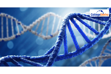 CUET Biology Mock Test