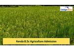 Kerala BSc Agriculture Admission 2024 - Dates, Application Form, Eligibility, Colleges