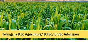Telangana BSc Agriculture, BFSc, BVSc & AH Admission 2024 - Dates, Registration, Admission Process, Merit List, Eligibility, Documents