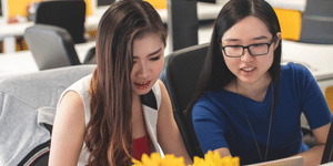 BSc Nursing Counselling Checklist