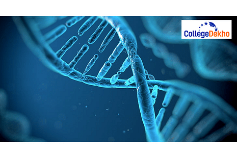 CUET 2025 Biology Important Topics: Preparation Strategy, Topic-Wise Weightage