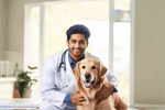 VCI NEET UG Veterinary Seat Matrix 2025 Released