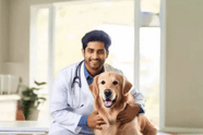 VCI NEET UG Veterinary Seat Matrix 2025 Released; Check category-wise total number of seats, PDF link
