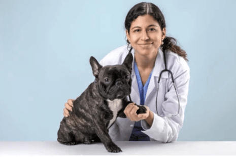 VCI NEET UG Veterinary Counselling 2025 Registration Begins Today at 11 AM