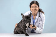 VCI NEET UG Veterinary Counselling 2025 Registration Begins Today at 11 AM