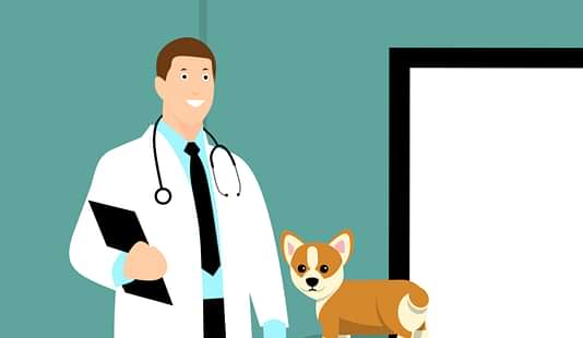 VCI NEET Veterinary Round 2 Counselling 2024 (Image Credits: Pxhere)