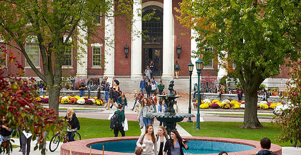 Higher Education in USA Becomes Costlier Dollar Rate Soars