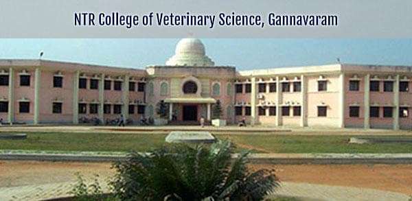 Veterinary College's Student Stood as Topper of PG Veterinary Sciences