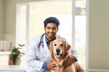 Veterinary NEET UG Round 2 Seat Allotment Result 2025 Releasing Today