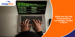 What are the Top Programming Languages Taught in BCA?