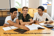 What scholarships are available for B.Sc Agriculture students?