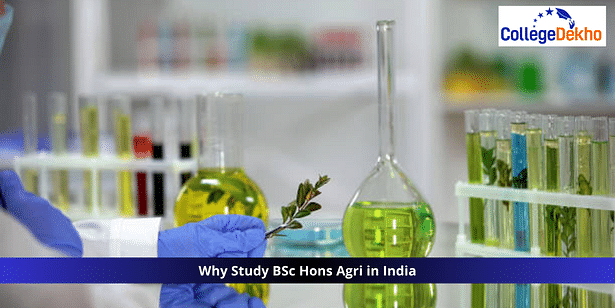Why Study BSc Hons Agri in India