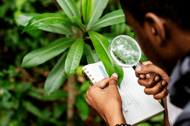 Will 90 to 94 Percentile in CUET 2025 be enough for DU B.Sc Botany Admission