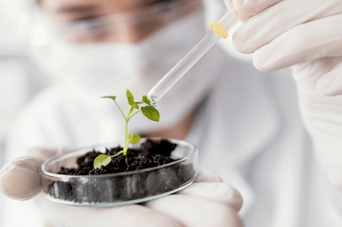 Will 95 to 97 Percentile in CUET 2025 be enough for DU B.Sc Botany Admission