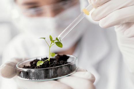 Will 95 to 97 Percentile in CUET 2025 be enough for DU B.Sc Botany Admission