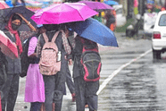 Is there Maharashtra School Holiday Due to Rain Today (July 25)?