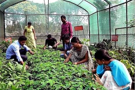 Fees for Agriculture Courses Offered in Maharashtra Hiked by 142%