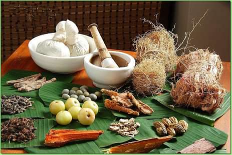 Foreign Students Find Ayurveda Courses Fascinating