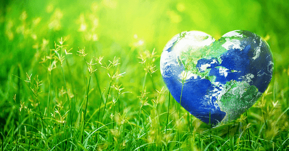 Jindal Global Law School & WWF India Launch Masters Course in Environmental Law