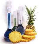 Food Technology College Coming Up in Kerala