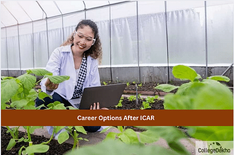 Career Options After ICAR