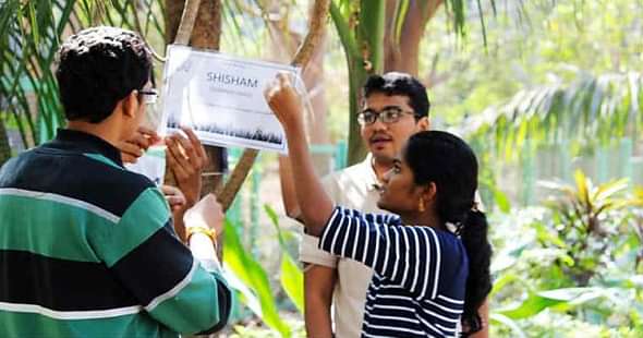 IIT Bombay Students Go Botanical, Identify 40 Species of Trees