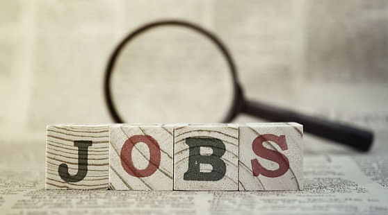 4.27 Crore Job Seekers Against 9.63 Lakh Jobs Listed on Government Portal: Report