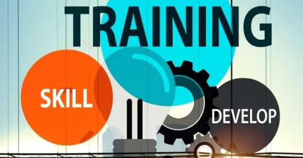 Skill Development Boost: Maharashtra Trains 10 Lakh People across 40 Sectors Since 2011