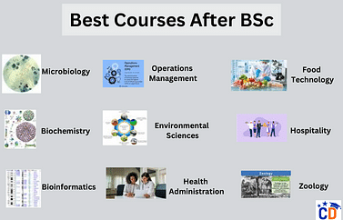 Best Courses After BSc - Jobs, Salary, Career Options, Higher Education  CollegeDekho