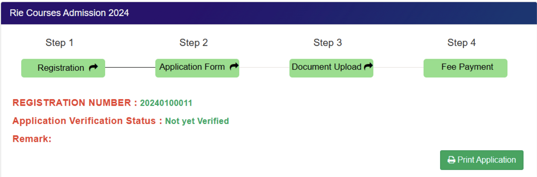 RIE CEE 2024 Application Form Process