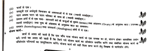 bihar board 12th practical syllabus