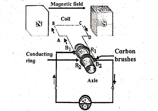 maharashtra ssc science important questions